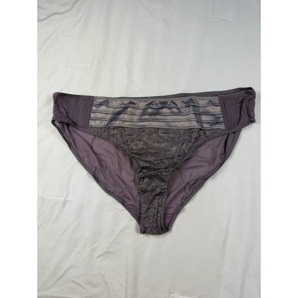 NWT Adore Me Gray Lace Trim Bikini Panties 2XL 2X Plus Size Sheer Mesh Lingerie